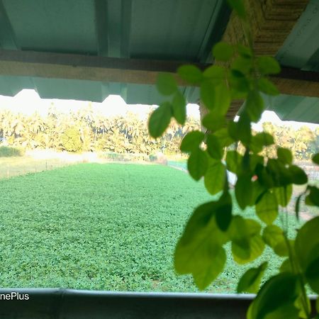 Ocean Sparrow Beach Stay Gokarna  Ruang foto