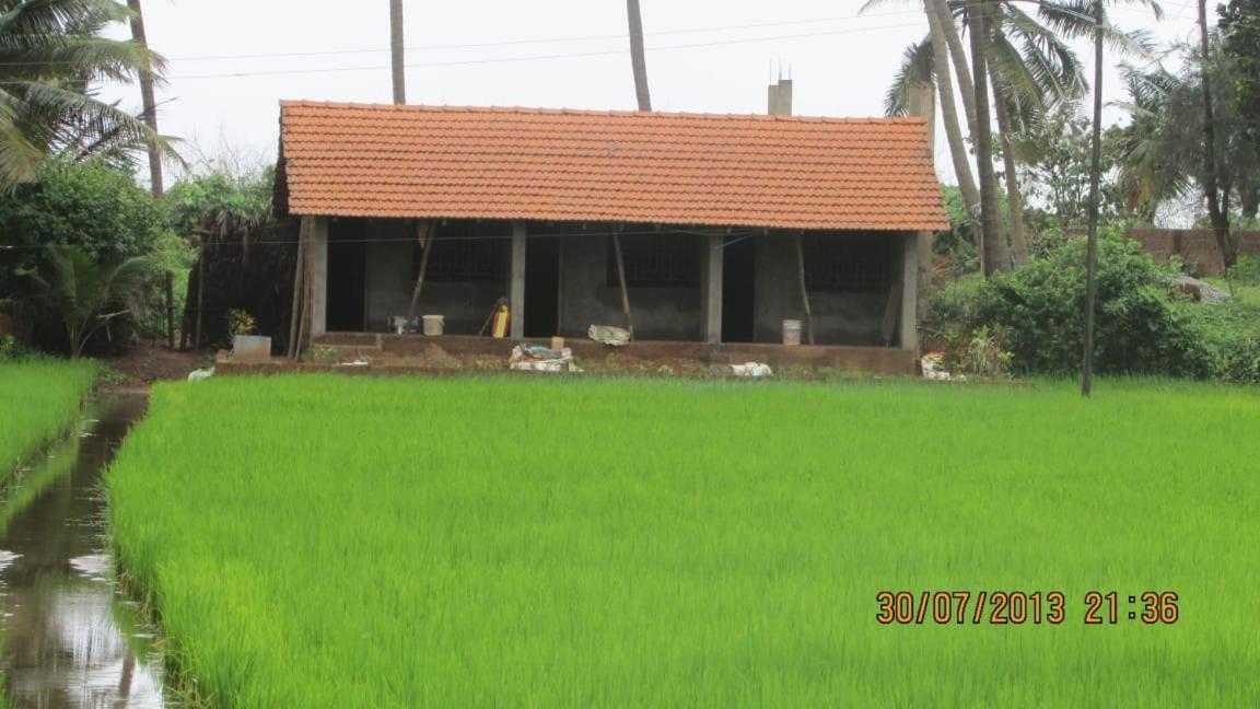 Ocean Sparrow Beach Stay Gokarna  Bagian luar foto