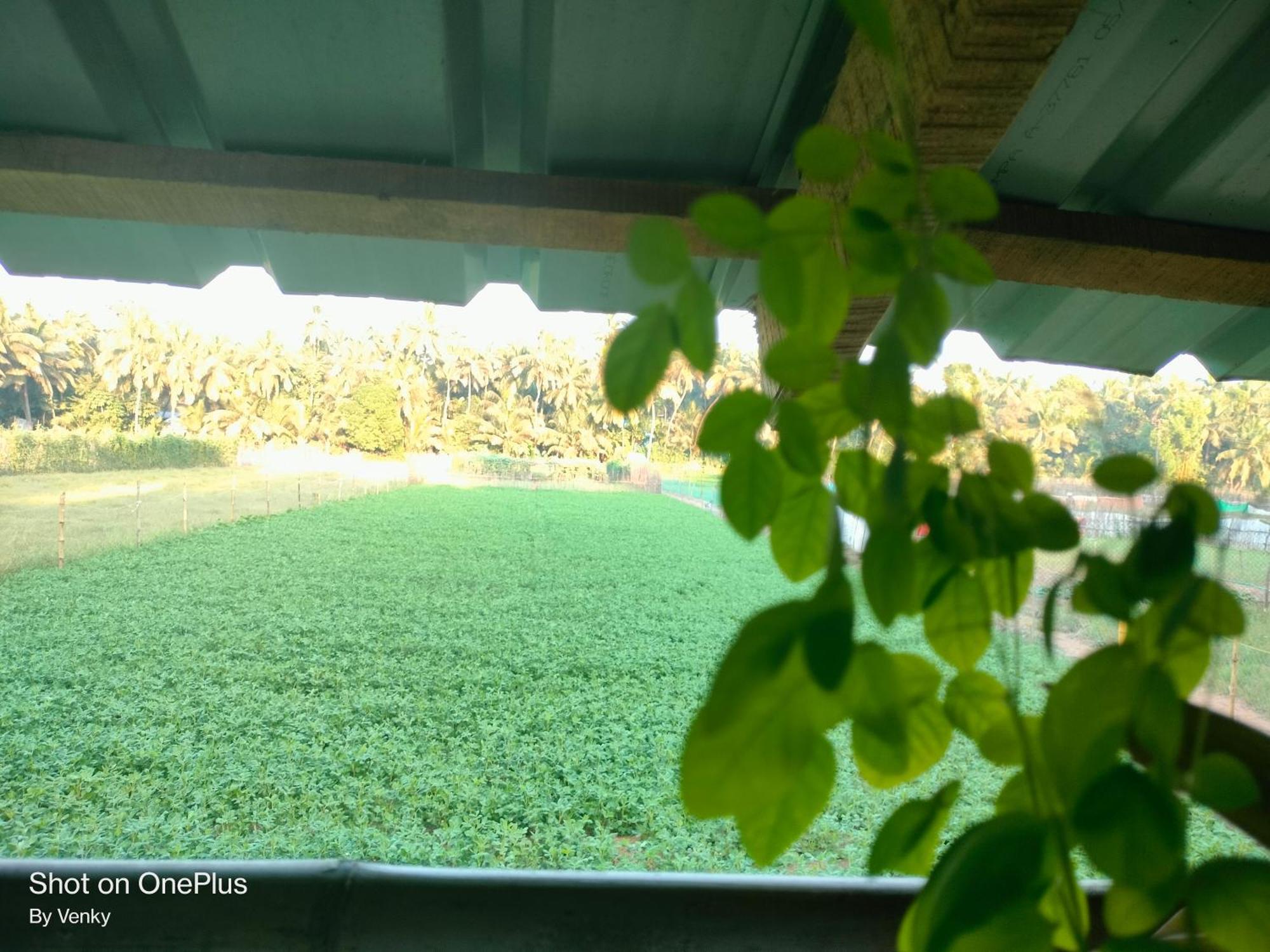 Ocean Sparrow Beach Stay Gokarna  Ruang foto